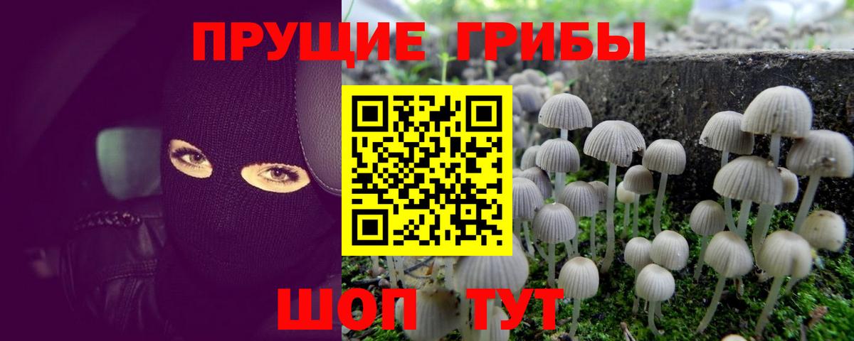 Псилоцибиновые грибы MAGIC MUSHROOMS Орёл