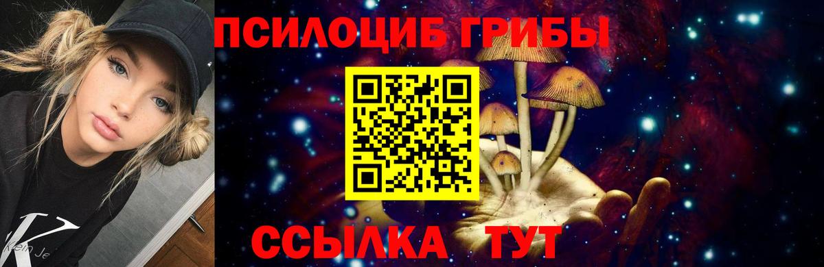 Галлюциногенные грибы MAGIC MUSHROOMS  Вход с VPN  Орёл  Псилоцибиновые грибы Psilocybe 